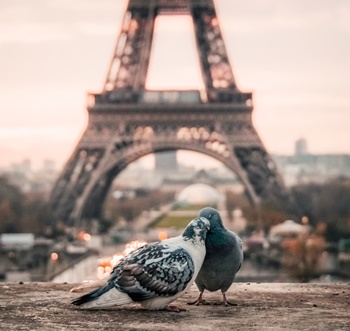 Ferienhäuser in Frankreich